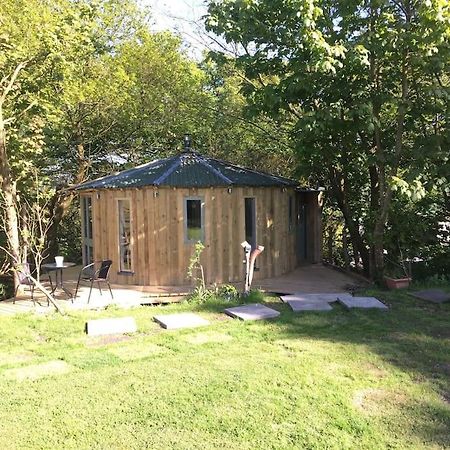The Roundhouse - Unique Space Nestled In The Trees Begelly Eksteriør billede